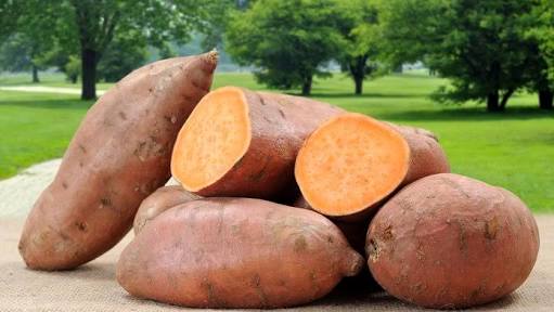 Sweet Potato